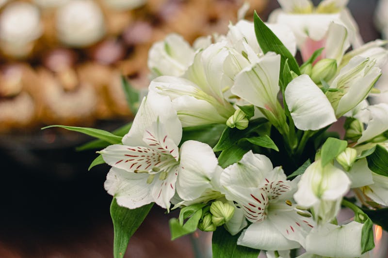 Bouquet blanc pur lys freesia livraison Paris